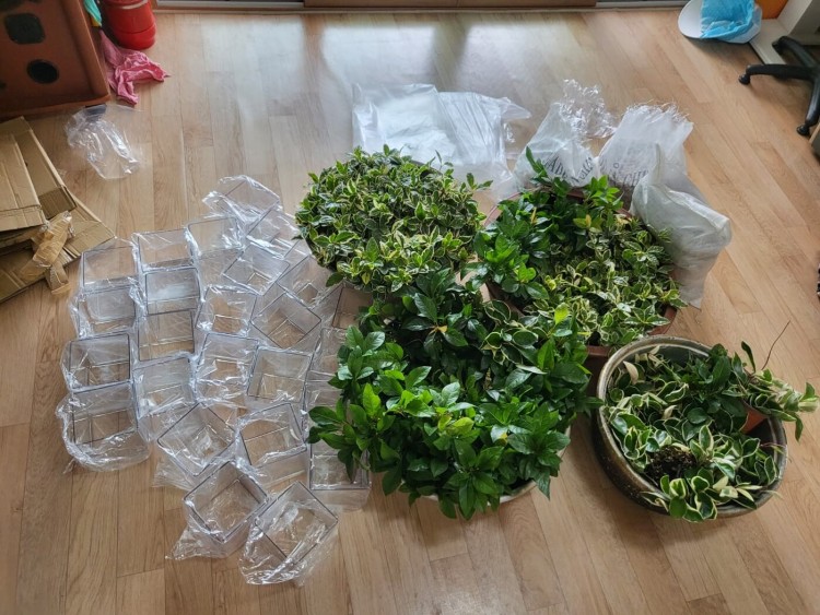 1f5139ec9b10384d5c37e2aff8b0da60_1752217